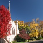 Image for Fall Colors in Jacksonville